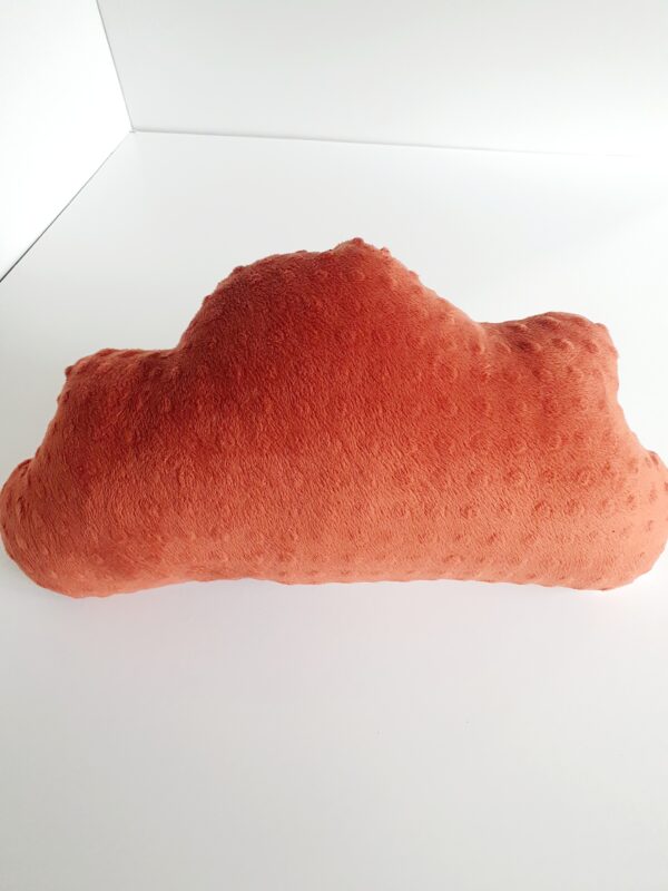 Coussin Nuage Asanosha bronze – Image 3
